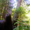 j_pelcher